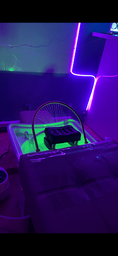Cabina Head Spa con cromoterapia